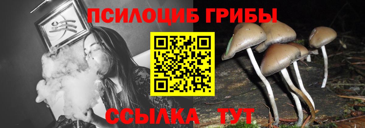 Галлюциногенные грибы GOLDEN TEACHER  Вход с VPN  Сунжа 