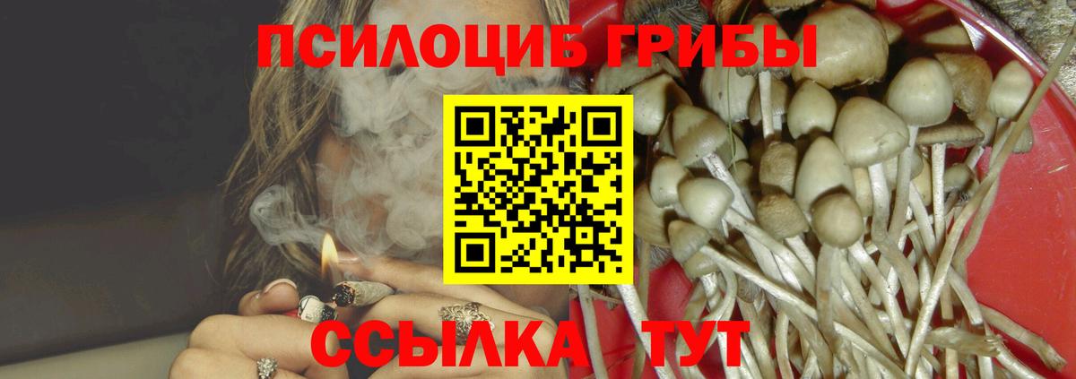 Галлюциногенные грибы мицелий Сунжа